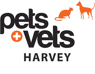 Harvey Vet Hospital